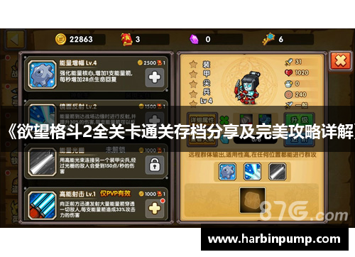 《欲望格斗2全关卡通关存档分享及完美攻略详解》 《欲望格斗2全关卡通关存档分享及完美攻略详解》