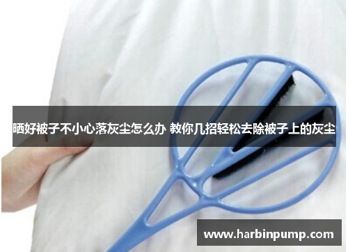 晒好被子不小心落灰尘怎么办 教你几招轻松去除被子上的灰尘