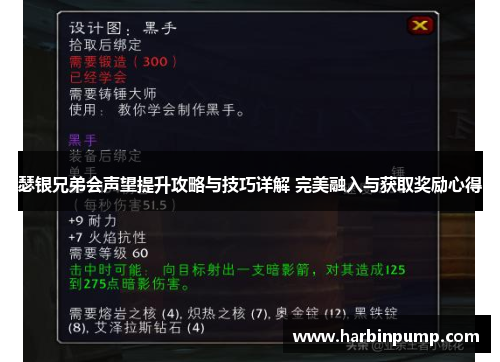 瑟银兄弟会声望提升攻略与技巧详解 完美融入与获取奖励心得