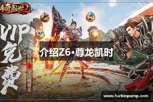 介绍Z6·尊龙凯时